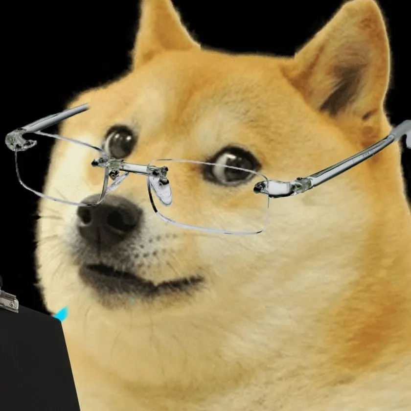 chat with ai character: Medical Dog