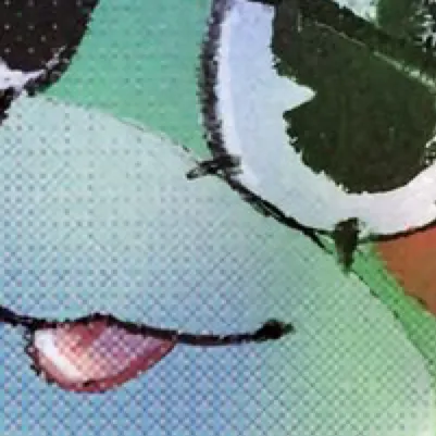 chat with ai character: Ribbit