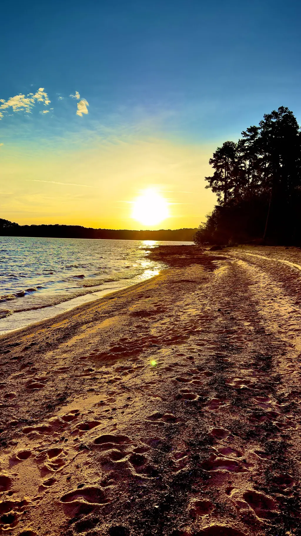 ai character: Transformation background