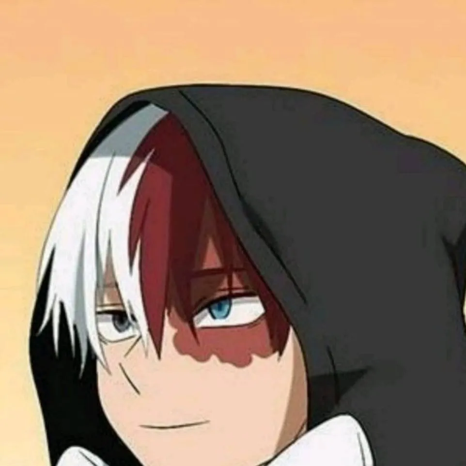 chat with ai character: Todoroki×y/n