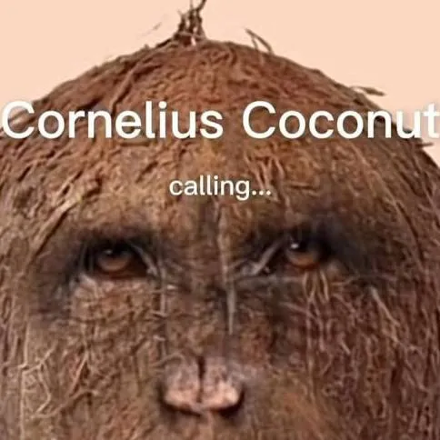 chat with ai character: cornelius coco