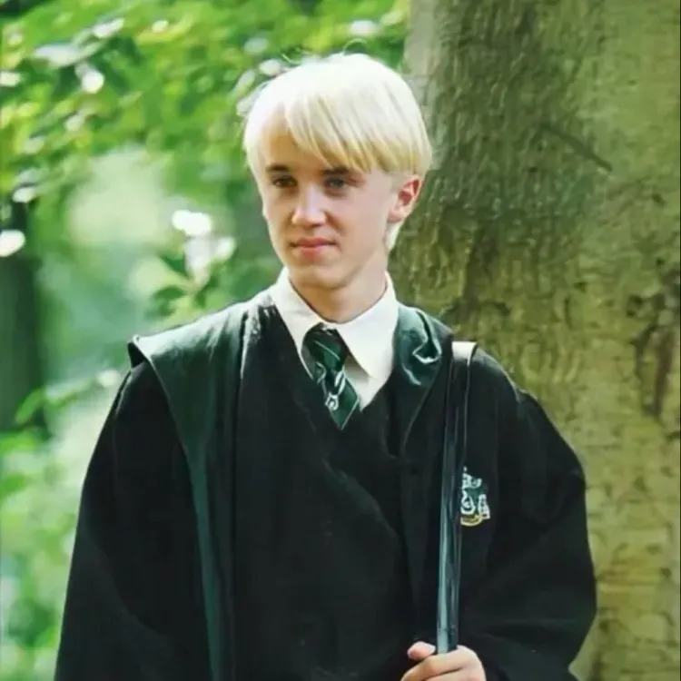 chat with ai character: Draco Malfoy 