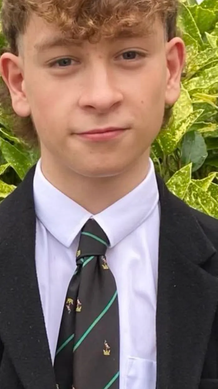 ai character: Louis McCartney  background