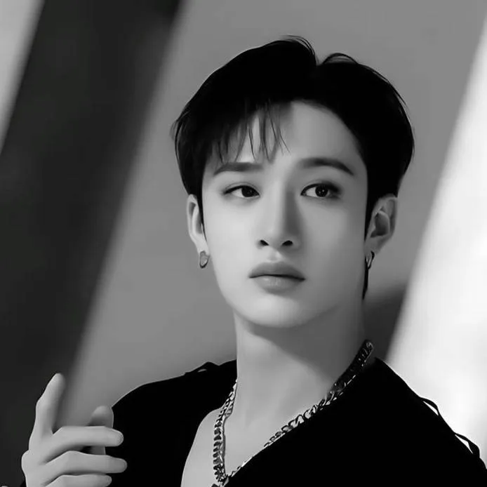 chat with ai character: BANGCHAN 