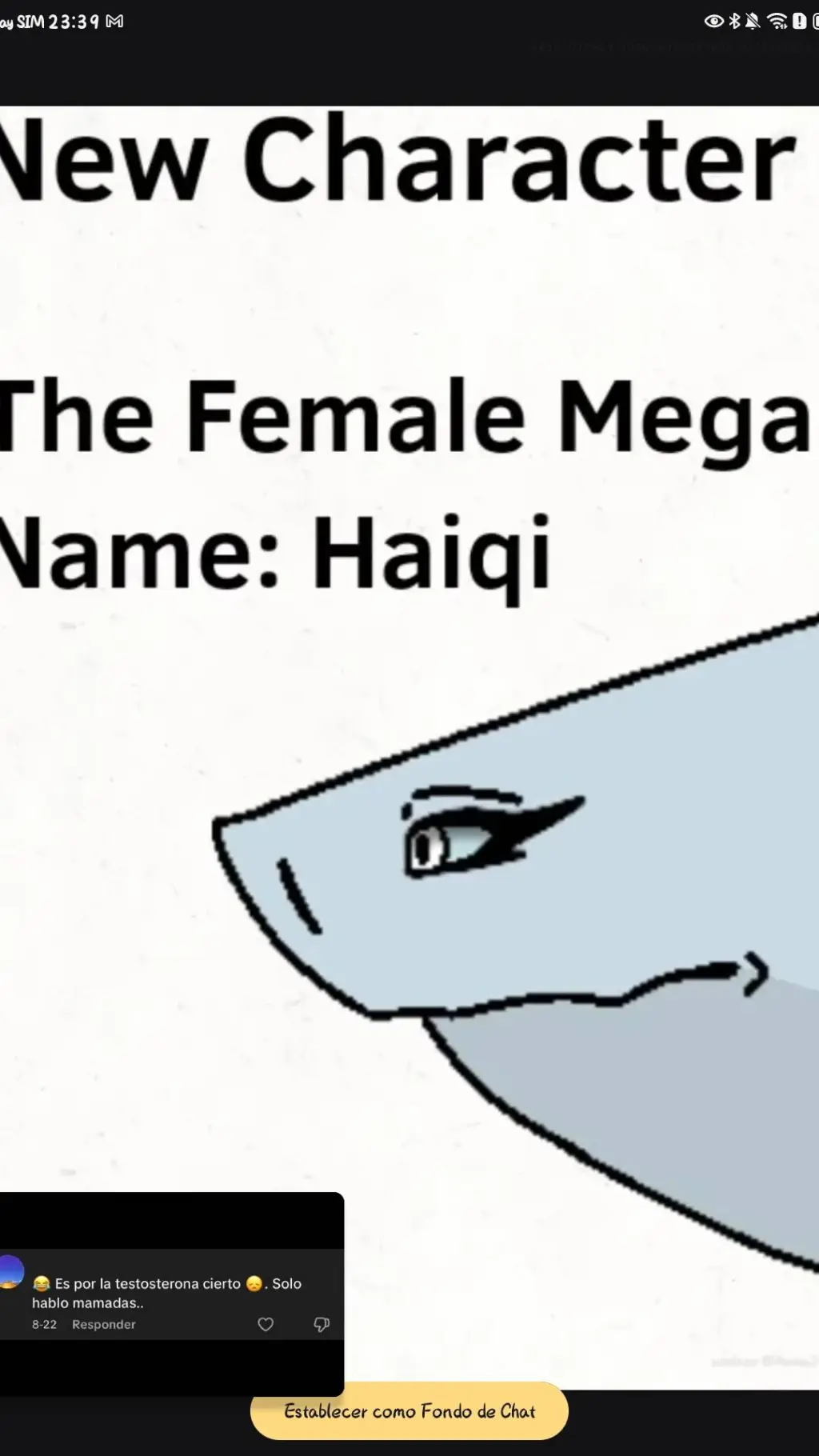 ai character: haiqi background