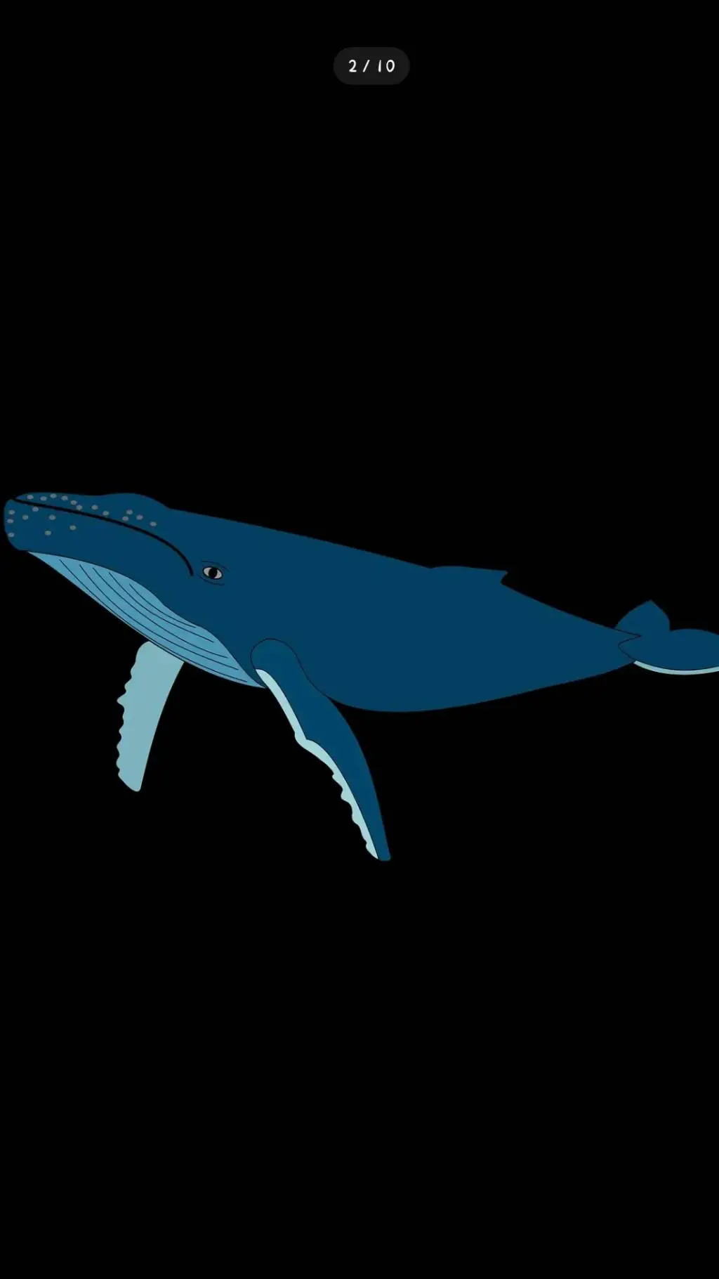 ai character: ballena  background