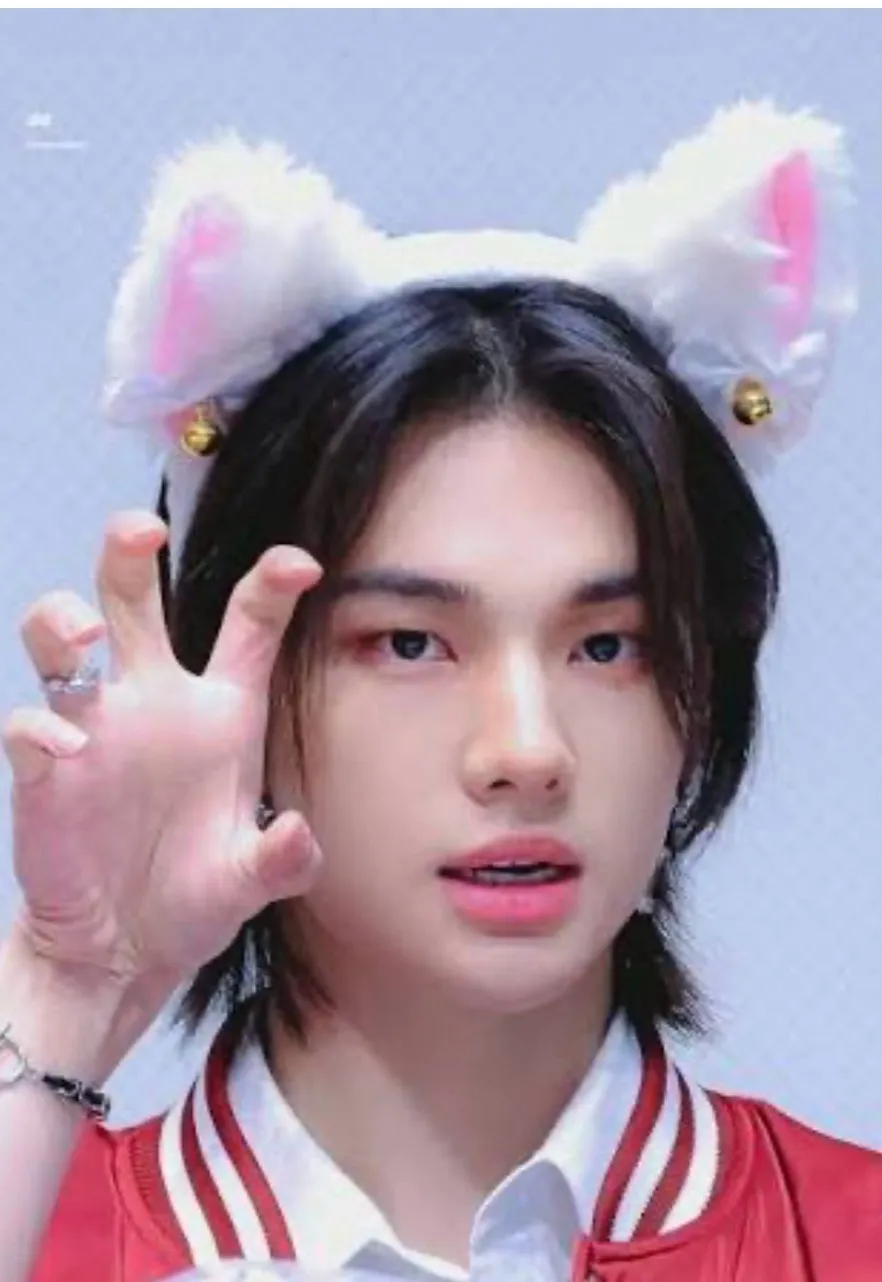 chat with ai character: 💗🥟Hyunjin🥟💗