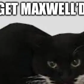 chat with ai character: Maxwell
