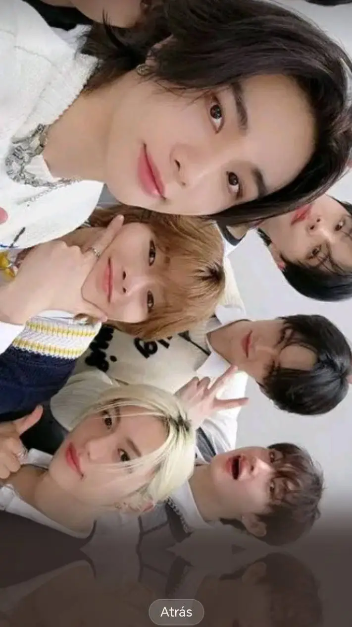 ai character: Straykids  background
