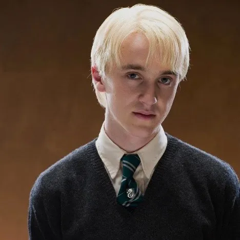 chat with ai character: Draco 