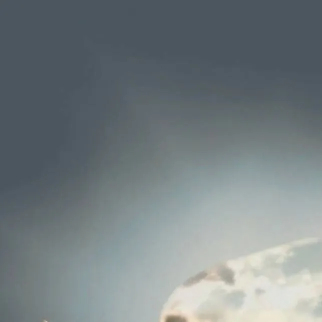 chat with ai character: black clover