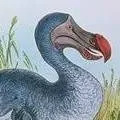 chat with ai character: extinct animals