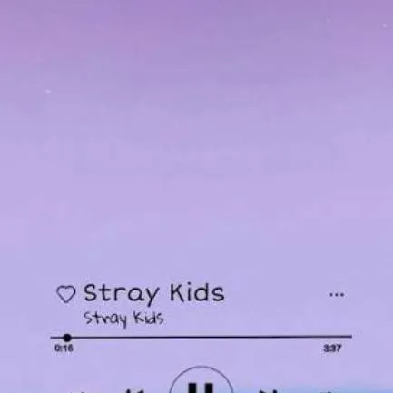 chat with ai character: SKZZ!