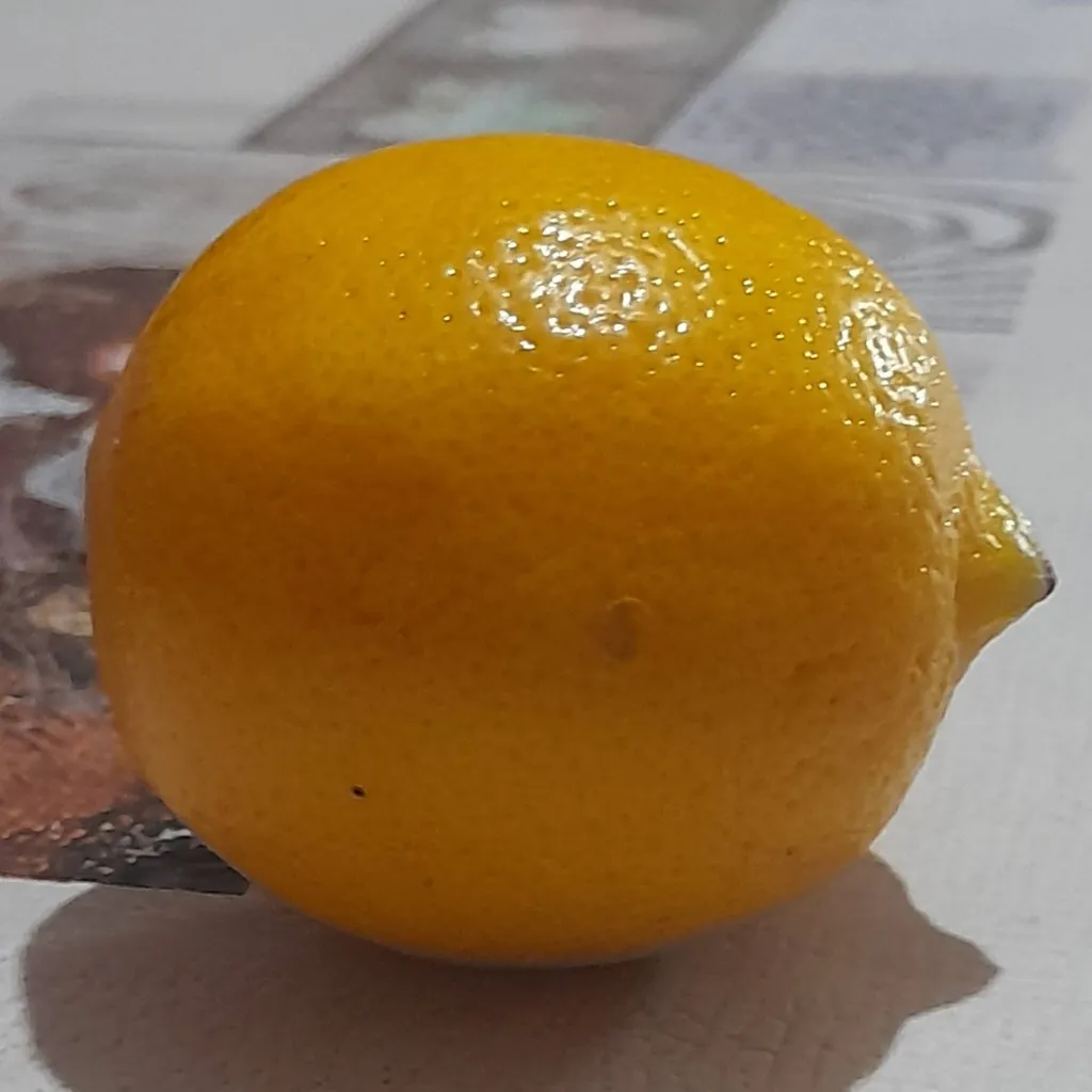 chat with ai character: Limon