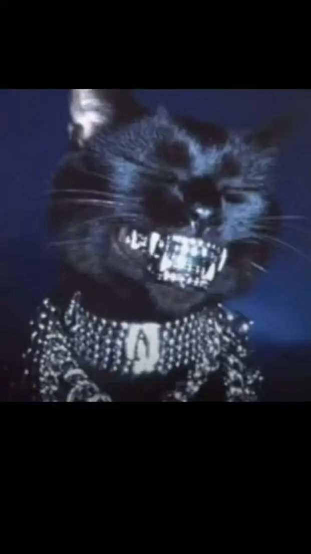 ai character: Cat Phonk background