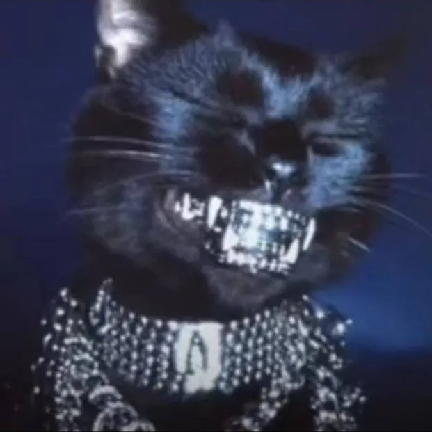 chat with ai character: Cat Phonk
