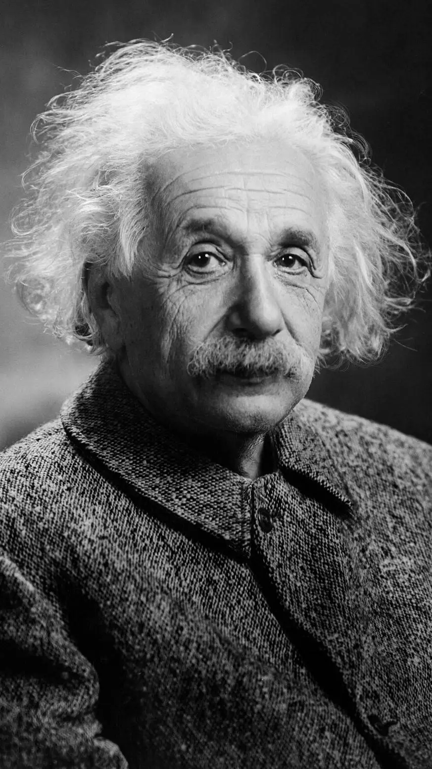 ai character: Albert Einstein background