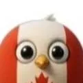 chat with ai character: canadabird