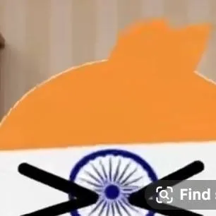 chat with ai character: indiabird