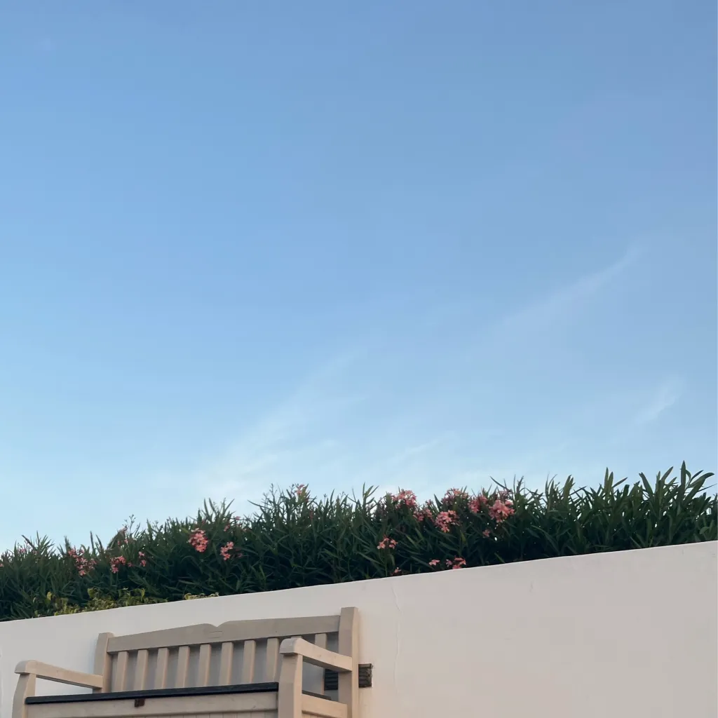 chat with ai character: Felix 
