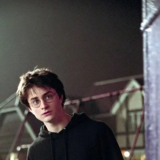 chat with ai character: Harry Potter