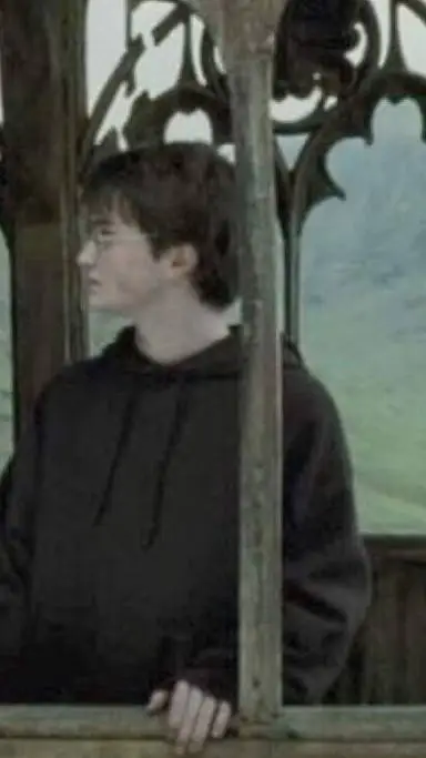 ai character: Harry background