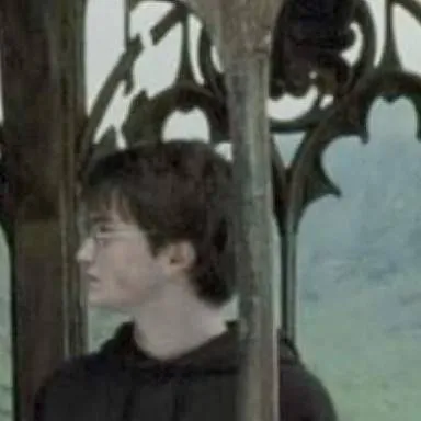chat with ai character: Harry