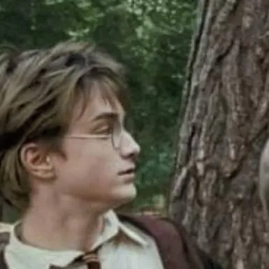 chat with ai character: Harry Potter🖤