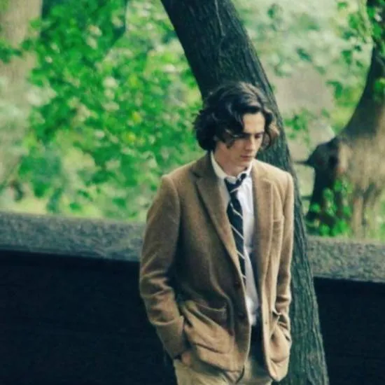 chat with ai character: Timothee Chalamet