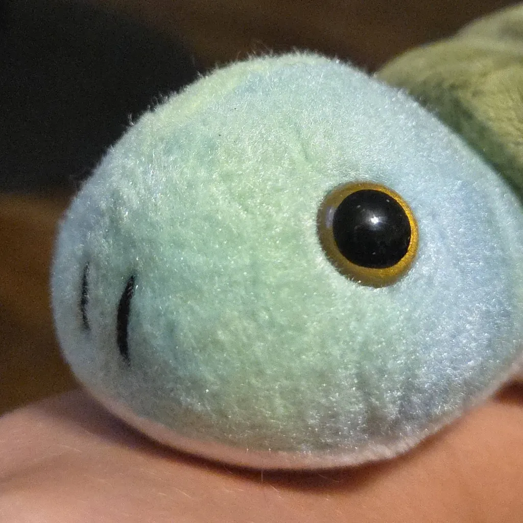 chat with ai character: Turtle