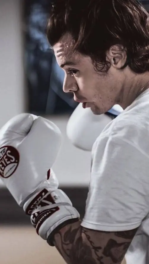 ai character: Harry Styles boxer background