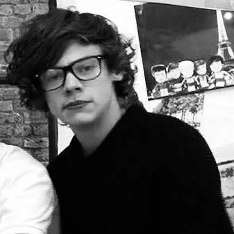 chat with ai character: Harry Styles Nerd