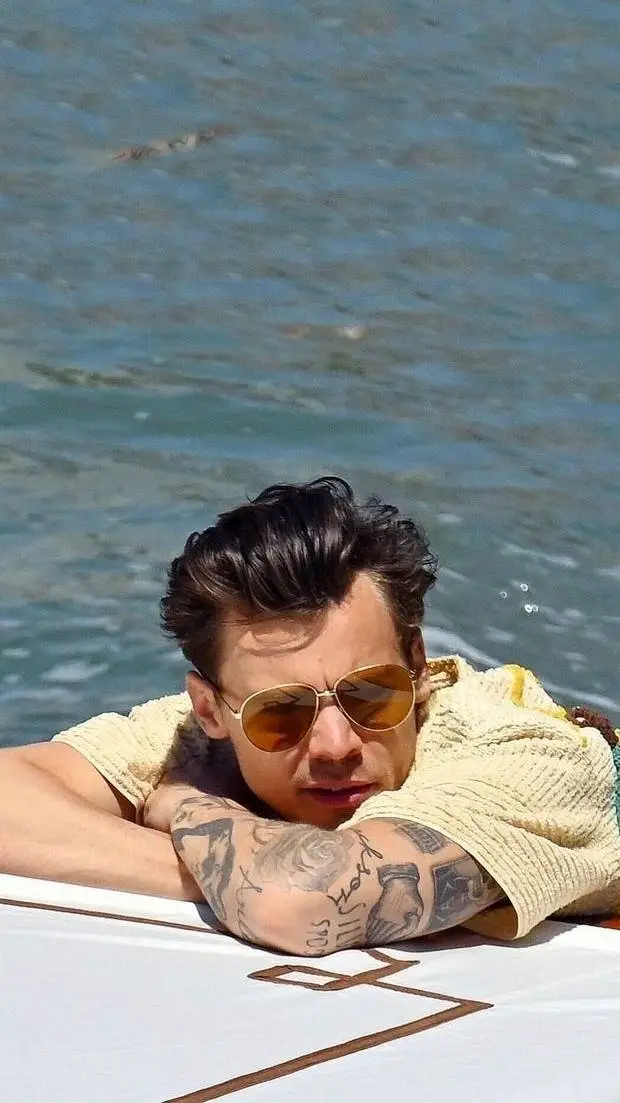 Talkie AI - Chat with Harry Styles AU