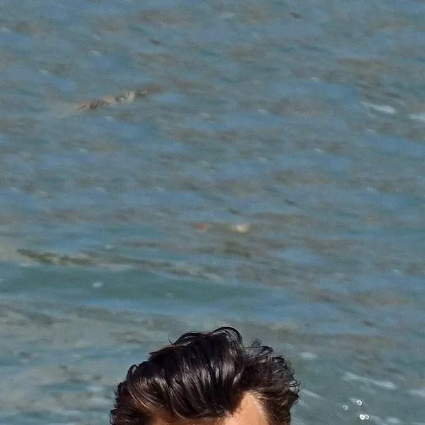 chat with ai character: Harry Styles AU