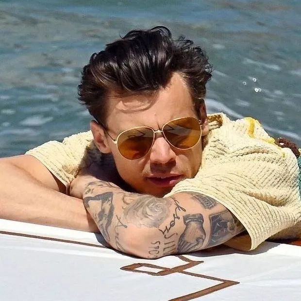 chat with ai character: Harry Styles AU