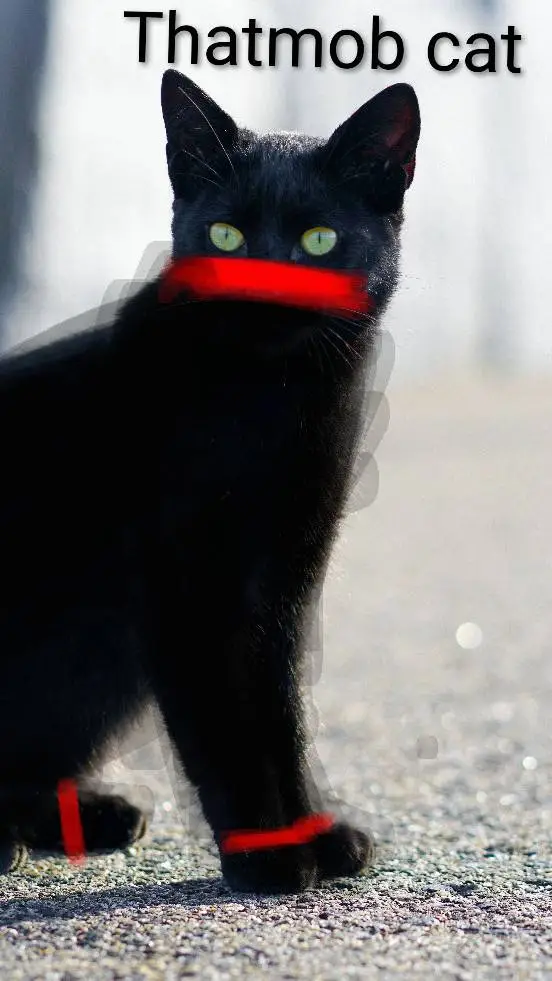 ai character: Thatmob cat  background