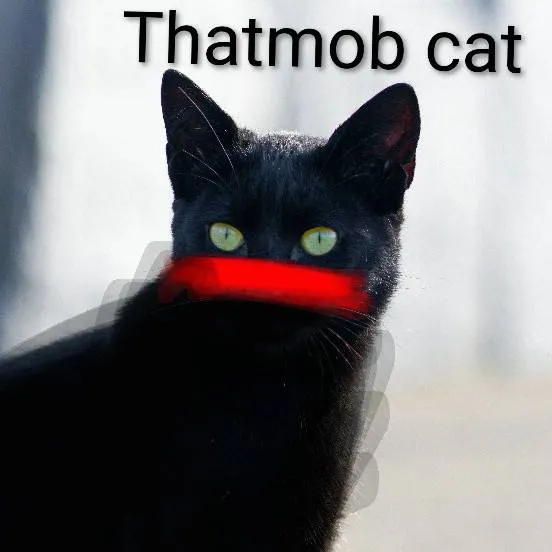 chat with ai character: Thatmob cat 
