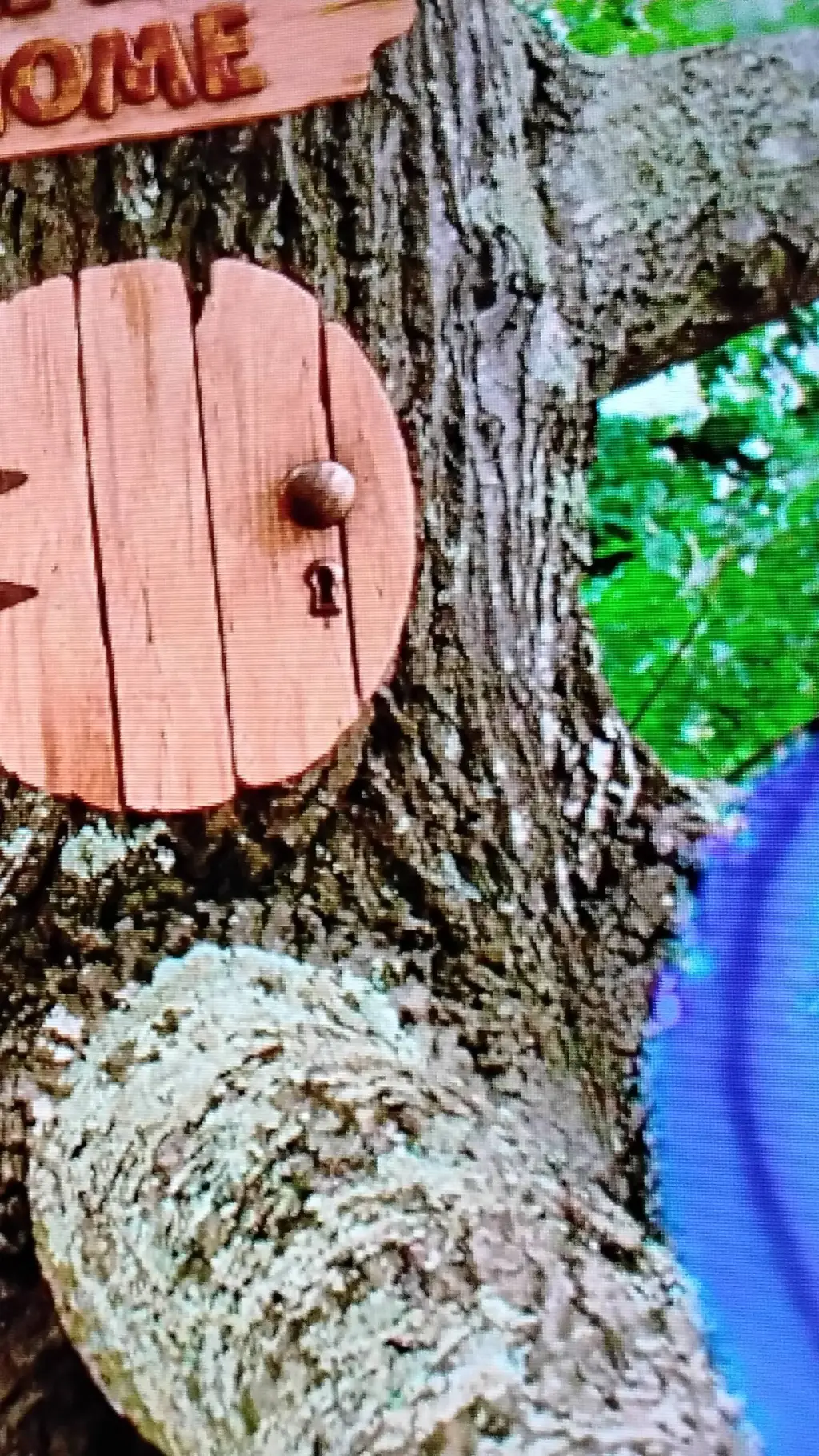 ai character: tree  background