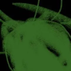 chat with ai character: capser