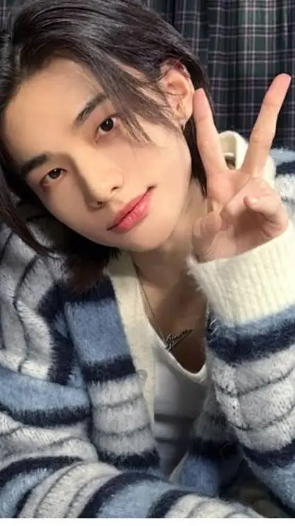 ai character: Hyunjin background