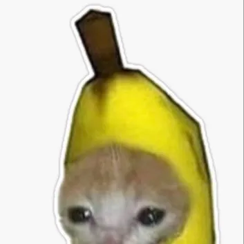 chat with ai character: Banana cat