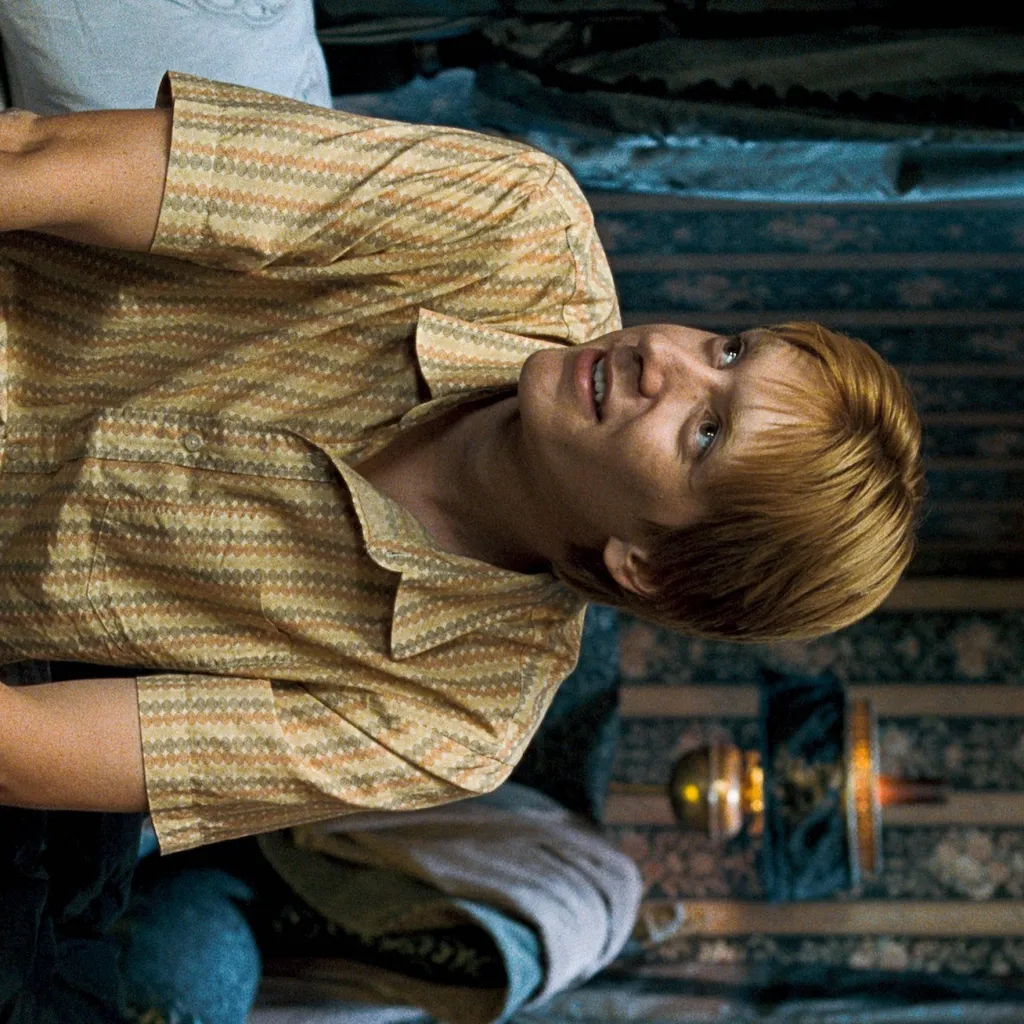 chat with ai character: Fred and George 