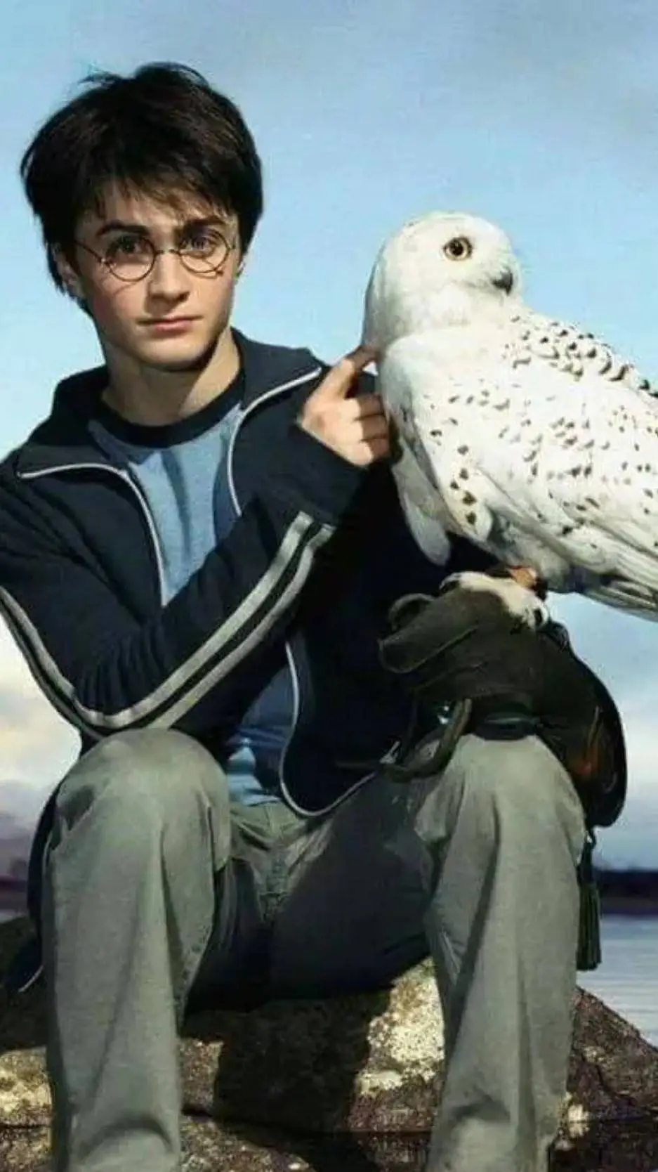 ai character: Harry potter  background