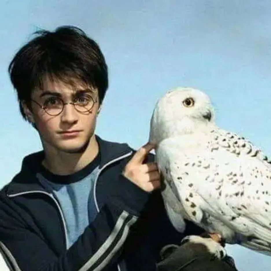 chat with ai character: Harry potter 