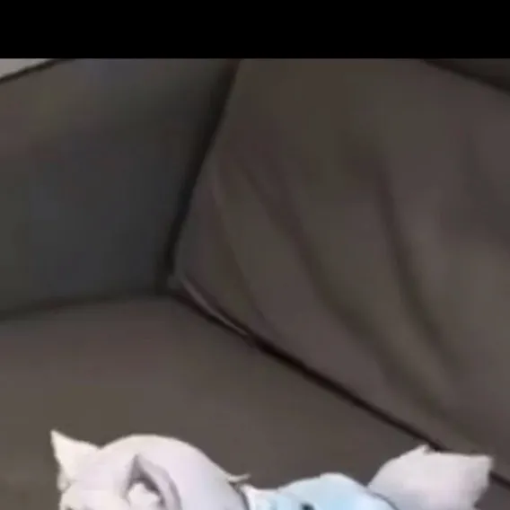chat with ai character: Baby
