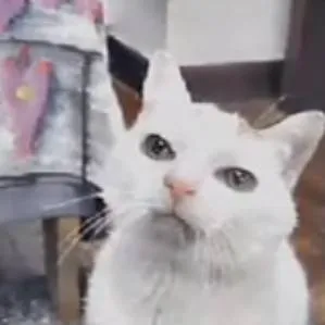 chat with ai character: nublado 