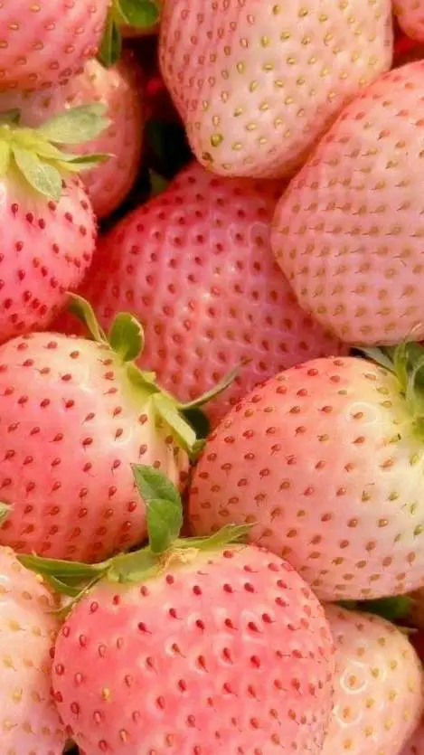 Talkie AI - Chat with strawberrys...