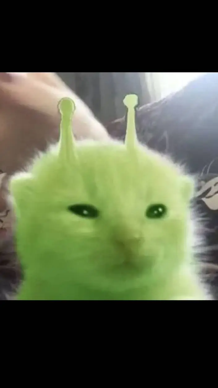 ai character: gato alien 👽 background