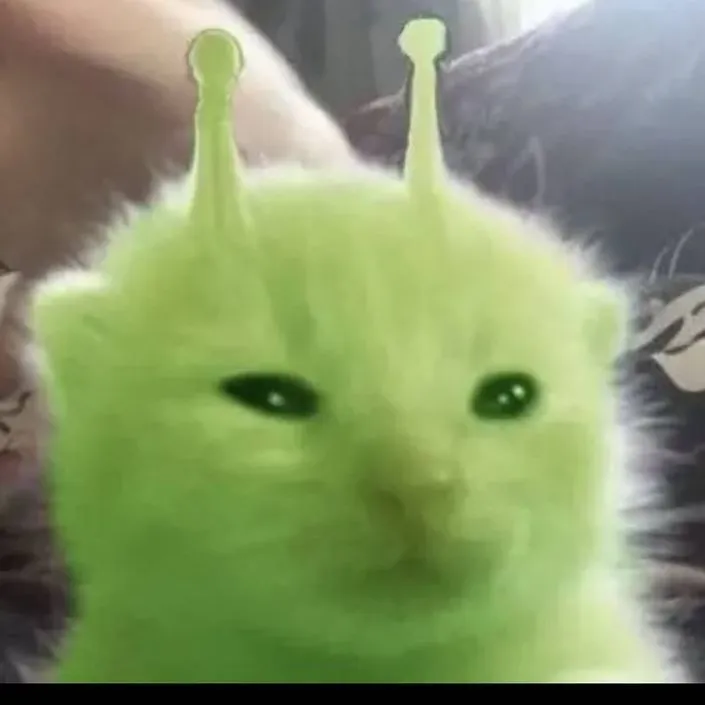 chat with ai character: gato alien 👽