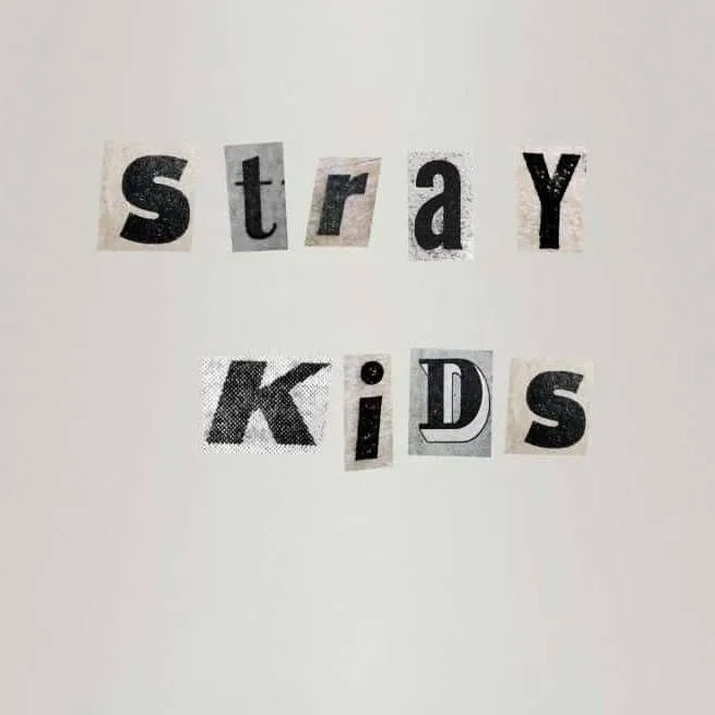 chat with ai character: Stray kids
